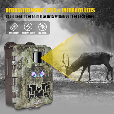 Promosi Penjualan 39USD Dual Lens/Dual Sensor Wildlife Game Camera 30MP 1080P No-Glow 940nm Dengan Sensor Siang Dan Malam