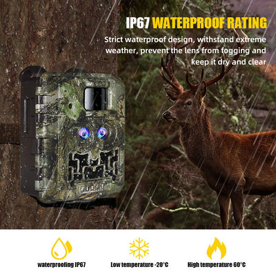 Promosi Penjualan 39USD Dual Lens/Dual Sensor Wildlife Game Camera 30MP 1080P No-Glow 940nm Dengan Sensor Siang Dan Malam