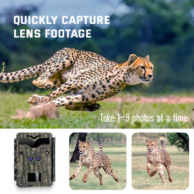 Kamera Berburu HD Lensa Ganda 32MP Game 4K No Glow Wildlife Camera