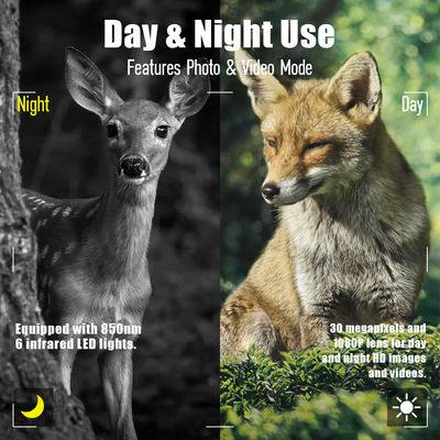 Kamera Margasatwa Resolusi Sensor Tinggi 13MP Cmos Dual Lens Trail Camera