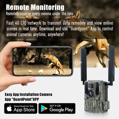 Kamera 4G Trail dengan kemampuan melihat jarak jauh dan perumahan yang kuat dirancang untuk menangkap gambar rinci di lokasi terpencil