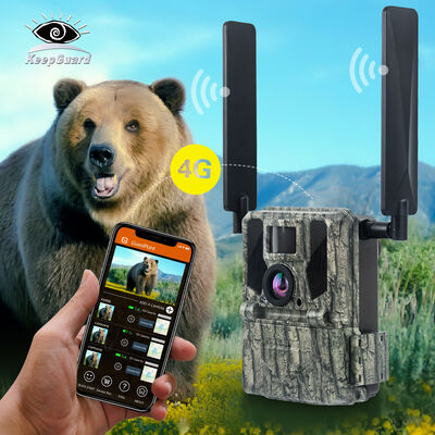 Kamera 4G Trail dengan kemampuan melihat jarak jauh dan perumahan yang kuat dirancang untuk menangkap gambar rinci di lokasi terpencil