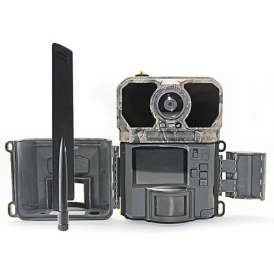 Kamera Satwa Liar 4g Resolusi Tinggi, Kamera Night Vision 4g Lte Trail