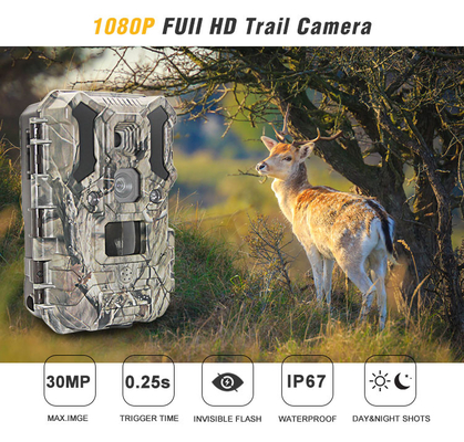 LED Inframerah Kamera Berburu Satwa Liar 30MP 1080P IP66