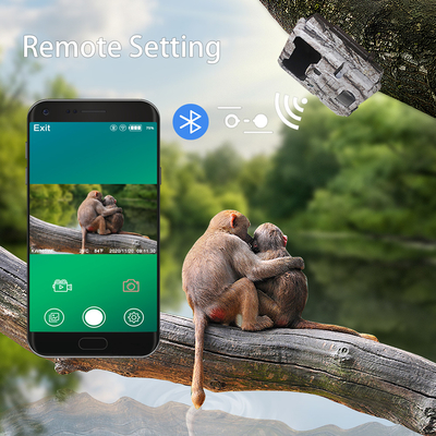 WIFI Outdoor Hunting Trail Camera Dengan Tampilan Layar Aplikasi Seluler