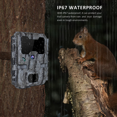 WIFI Outdoor Hunting Trail Camera Dengan Tampilan Layar Aplikasi Seluler