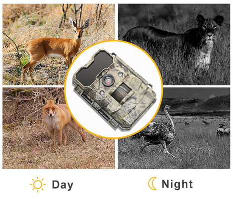 IP67 Kamuflase Tidak Ada Cahaya Inframerah Pemicu Cepat Deer Hunting Trail Camera