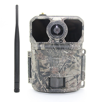 Kamera Jejak Nirkabel CMOS 25m IR Tahan Air Ip65 1080p Hd 180mA