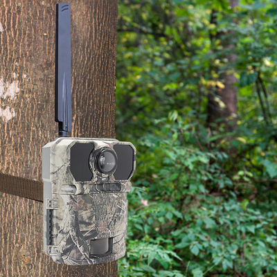 Outdoor Trail Camera Game Trap Infrared Hunting Camera Margasatwa Alam Kamera Video