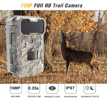 Trail Camera Security Surveillance Thermal Night Vision IP65 Harga murah Kualitas bagus
