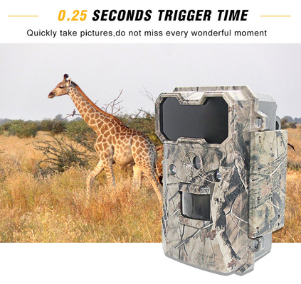 Trail Camera Security Surveillance Thermal Night Vision IP65 Harga murah Kualitas bagus