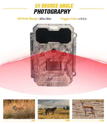 Trail Camera Security Surveillance Thermal Night Vision IP65 Harga murah Kualitas bagus