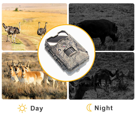 Trail Camera Security Surveillance Thermal Night Vision IP65 Harga murah Kualitas bagus