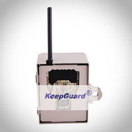KG870 Kamera Satwa Liar Digital Luar Ruangan 12MP 4000X3000 Ukuran Gambar