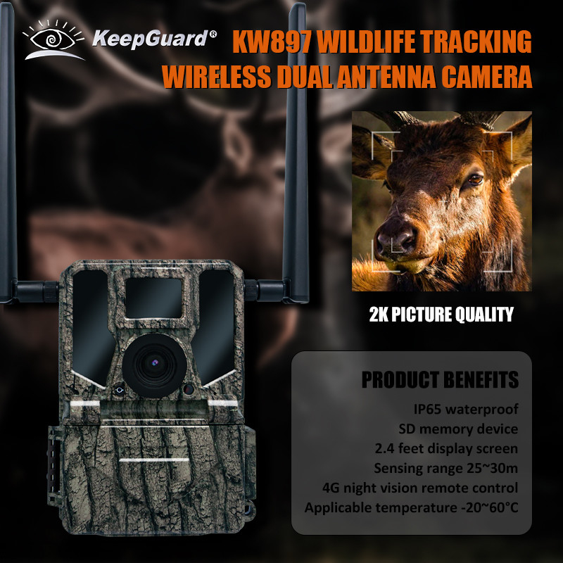 4G Wireless Trail Camera Hidden Camouflage KW897 dengan Dual Antenna Night Vision 36MP 2K Video untuk Berburu Rusa