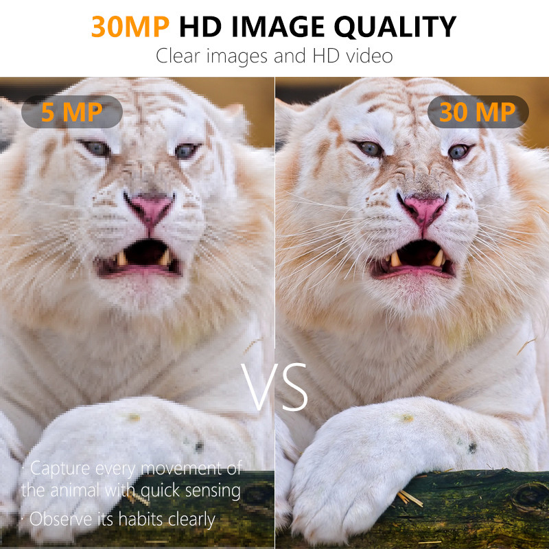 Kamera berburu ukuran mini hemat biaya KW561 dengan 30MP/1080P tahan air IP67 hingga 512GB 0.3s pemicu untuk berburu satwa liar
