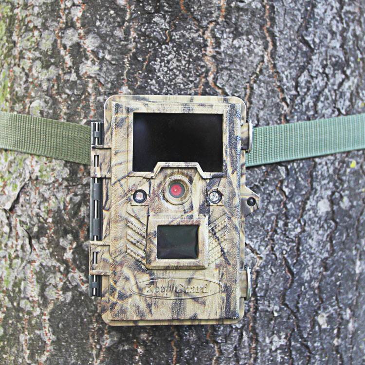 Berburu Kamera Satwa Liar Digital, Kamera Berburu Inframerah Itu Kamera Perangkap